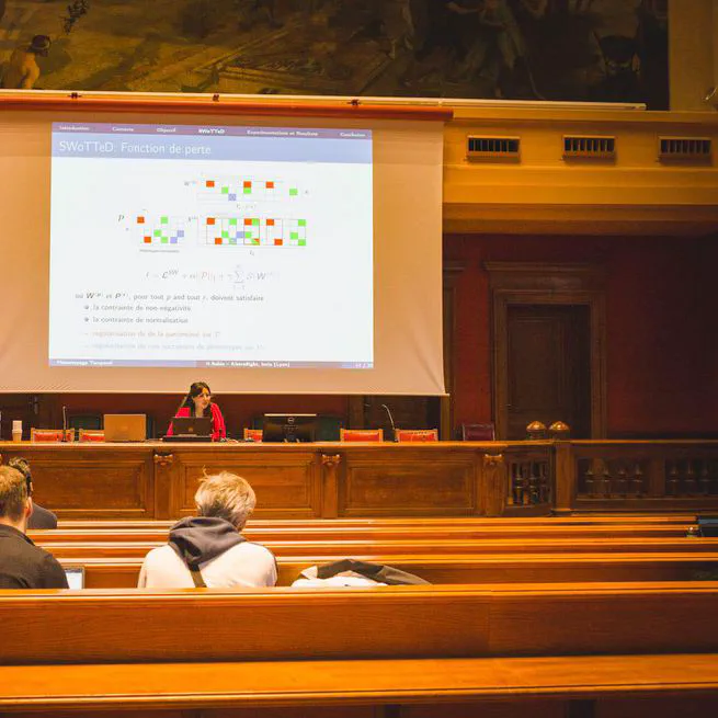 Une extension de la décomposition tensorielle au phénotypage temporel
