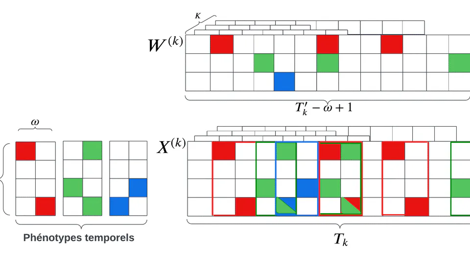 SWoTTeD: an extension of tensor decomposition to temporal phenotyping